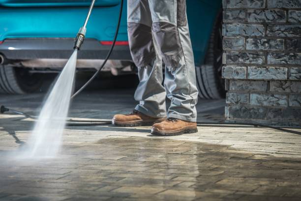 Best Boat and Dock Cleaning  in Waldo, FL